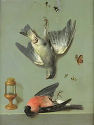 Stillleben mit Vögeln und Insekten, 1713